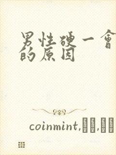 男性硬一会就软的原因