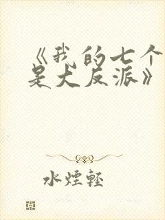 《我的七个老婆是大反派》封面