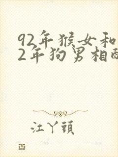 92年猴女和82年狗男相配吗婚姻