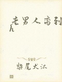 老男人脔到她哭h