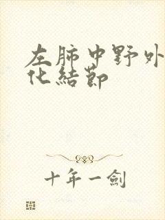 左肺中野外带钙化结节封面