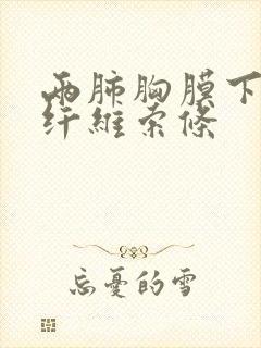 两肺胸膜下多发纤维索条