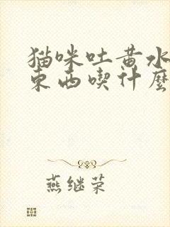 猫咪吐黄水不吃东西吃什么药好封面