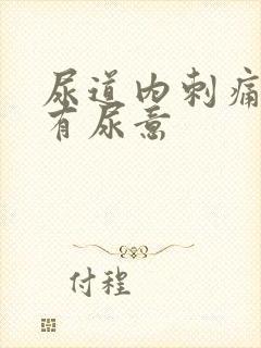 尿道内刺痛一直有尿意