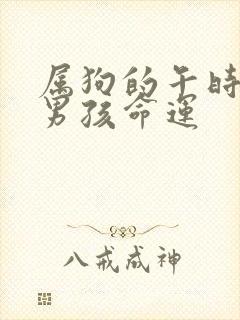 属狗的午时出生男孩命运