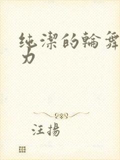 纯洁的轮舞曲磁力