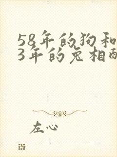 58年的狗和63年的兔相配吗?