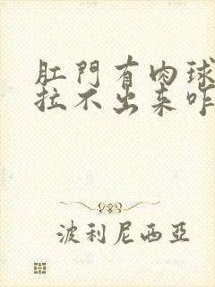 肛门有肉球拉屎拉不出来咋办封面