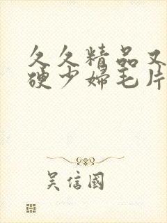 久久精品又粗又硬少妇毛片