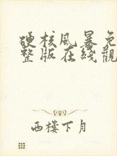 硬核风暴免费完整版在线观看