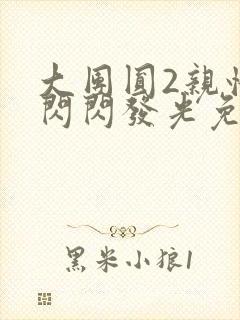 大团圆2亲情会闪闪发光免费