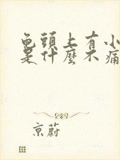 龟头上有小肉粒是什么不痛不痒