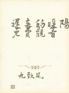 迟来的暖阳短剧免费观看