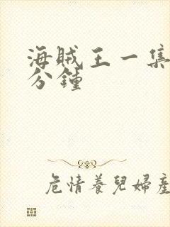 海贼王一集多少分钟