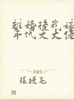 离婚后我嫁给了年代文大佬封面