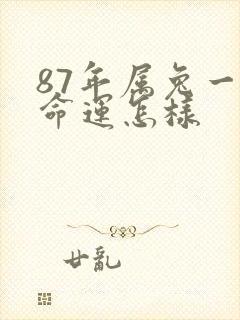 87年属兔一生命运怎样封面