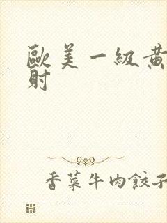 欧美一级黄色内射