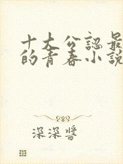 十大公认最好看的青春小说