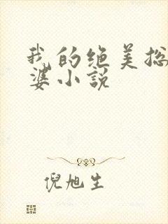 我的绝美总裁老婆小说