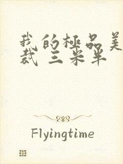 我的极品美女总裁 三米半