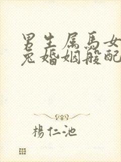 男生属马女生属兔婚姻般配吗