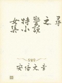 女特警之寻虐续集小说封面