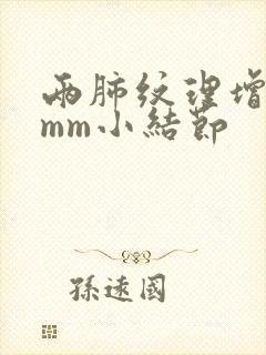 两肺纹理增多4mm小结节