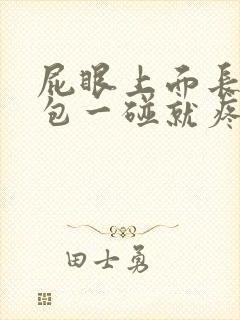 屁眼上面长了个包一碰就疼