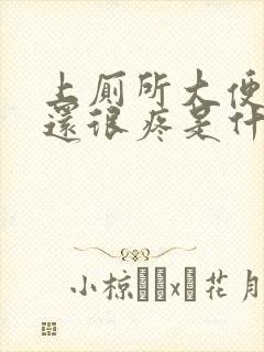 上厕所大便出血还很疼是什么原因封面