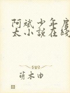 阿斌少年房东太太小说在线阅读