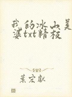 我的冰山美女老婆txt精校
