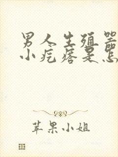 男人生殖器长满小疙瘩是怎么回事