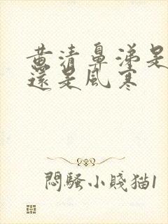 黄清鼻涕是风热还是风寒