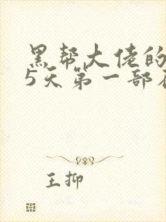 黑帮大佬的365天第一部在线观看