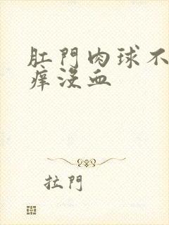 肛门肉球不痛不痒没血