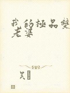 我的极品双胞胎老婆