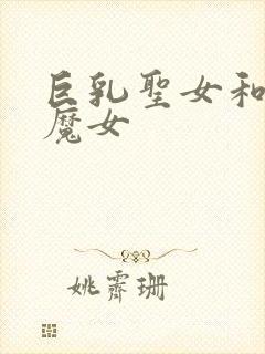 巨乳圣女和贫乳魔女封面
