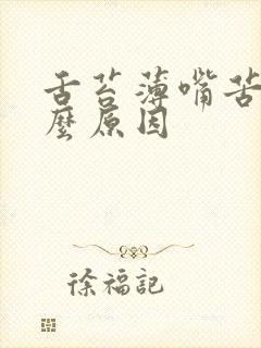 舌苔薄嘴苦是什么原因