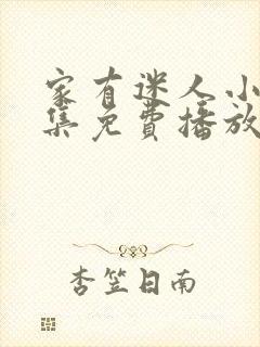 家有迷人小嫂全集免费播放电视剧