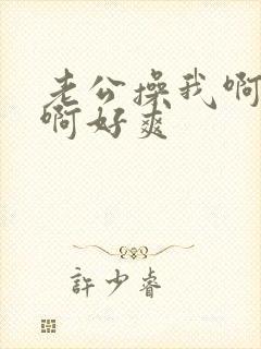 老公操我啊啊啊啊好爽封面