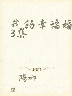 我的幸福婚约13集