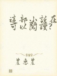 这部小说在哪里可以阅读?