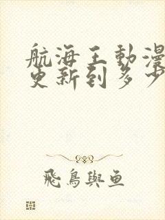 航海王动漫现在更新到多少集了