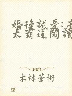 婚后试爱:老公太霸道阅读全文全文封面