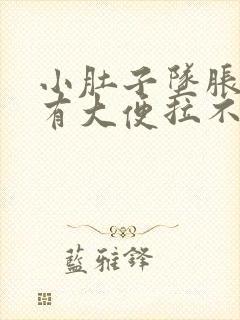 小肚子坠胀感觉有大便拉不出来