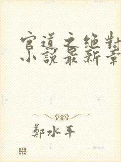 官道之绝对权力小说最新章