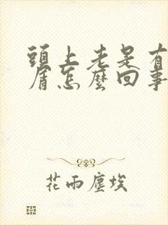 头上老是有头皮屑怎么回事封面