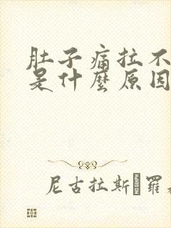 肚子痛拉不出屎是什么原因