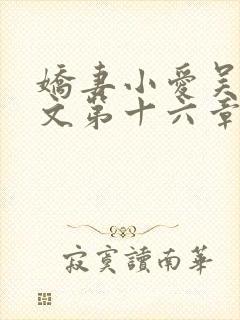 娇妻小爱吴勇全文第十六章免费阅读