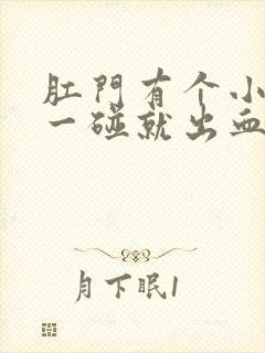 肛门有个小肉球一碰就出血